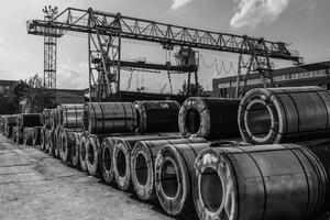 _SH58772-bw-2